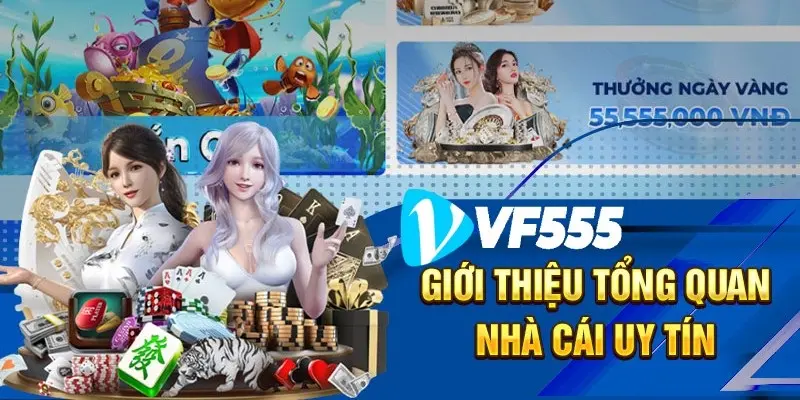 Giới Thiệu Về Nhà Cái VF555