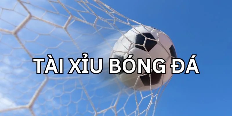 Những lưu ý khi chơi kèo Tài xỉu tại vf555